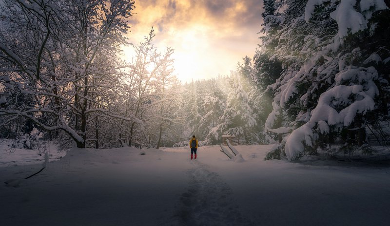 |Alone|photo preview