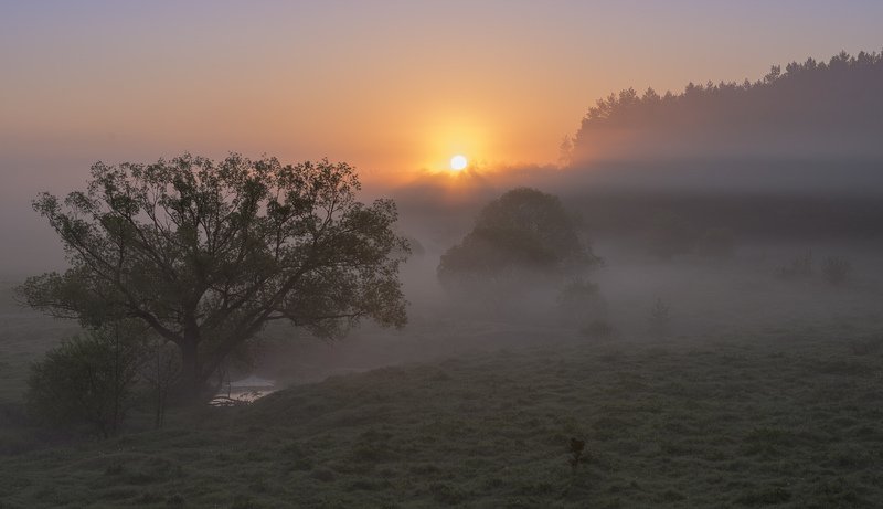 Утро...photo preview