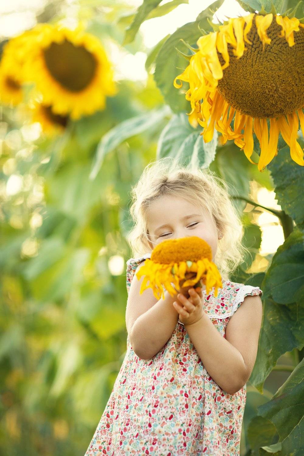 девочка, подсолнухи, лето, canon, 85mm, summer, girl, Инна Малахова