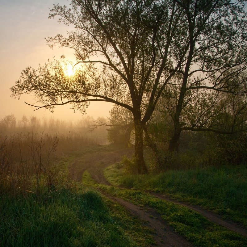 Ранняя дорогаphoto preview