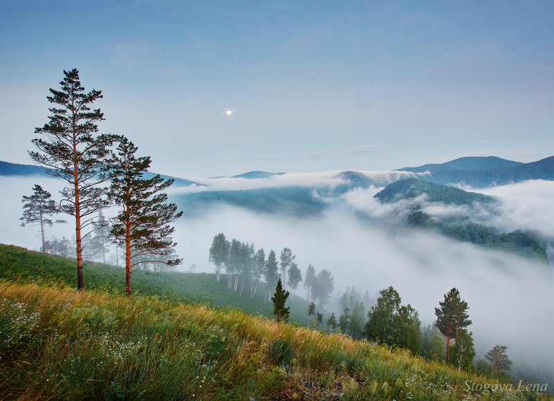 река мана, туман, утро, красноярск Туман над рекойphoto preview
