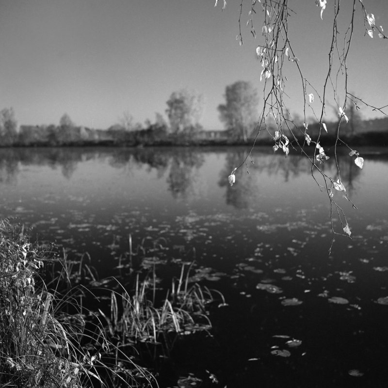 осень река \