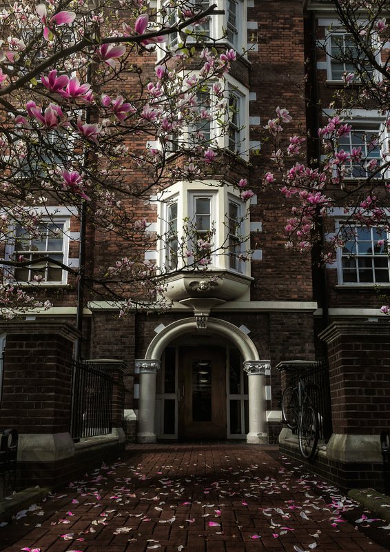 город, архитектура, лондон, англия Fish, chips, cup of teaphoto preview