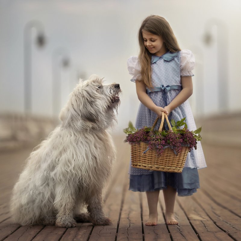 The dog and it\'s friend, the Childphoto preview