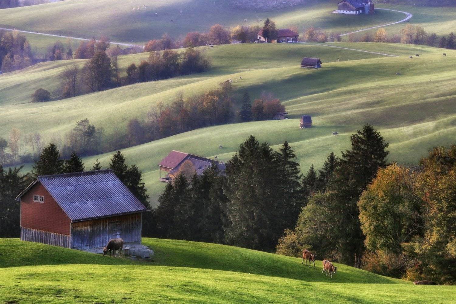 Швейцарская идиллия. Автор: Галина Хвостенко швейцария, Галина Хвостенко