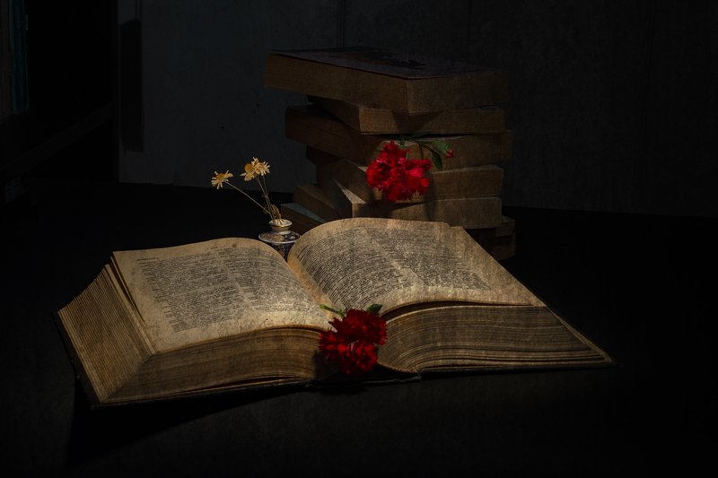 The book is life.photo preview