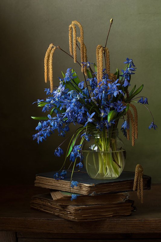 натюрморт с пролесками,голубые цветы,книги,художественное фото,искусство,весенние цветы. photo preview
