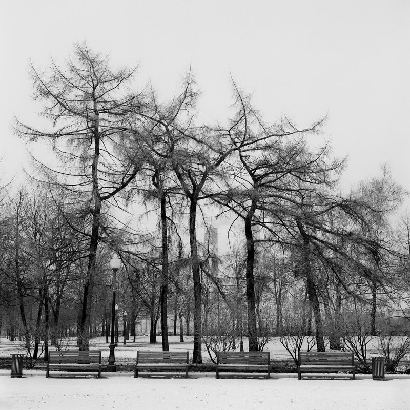 hasseldlad парк \