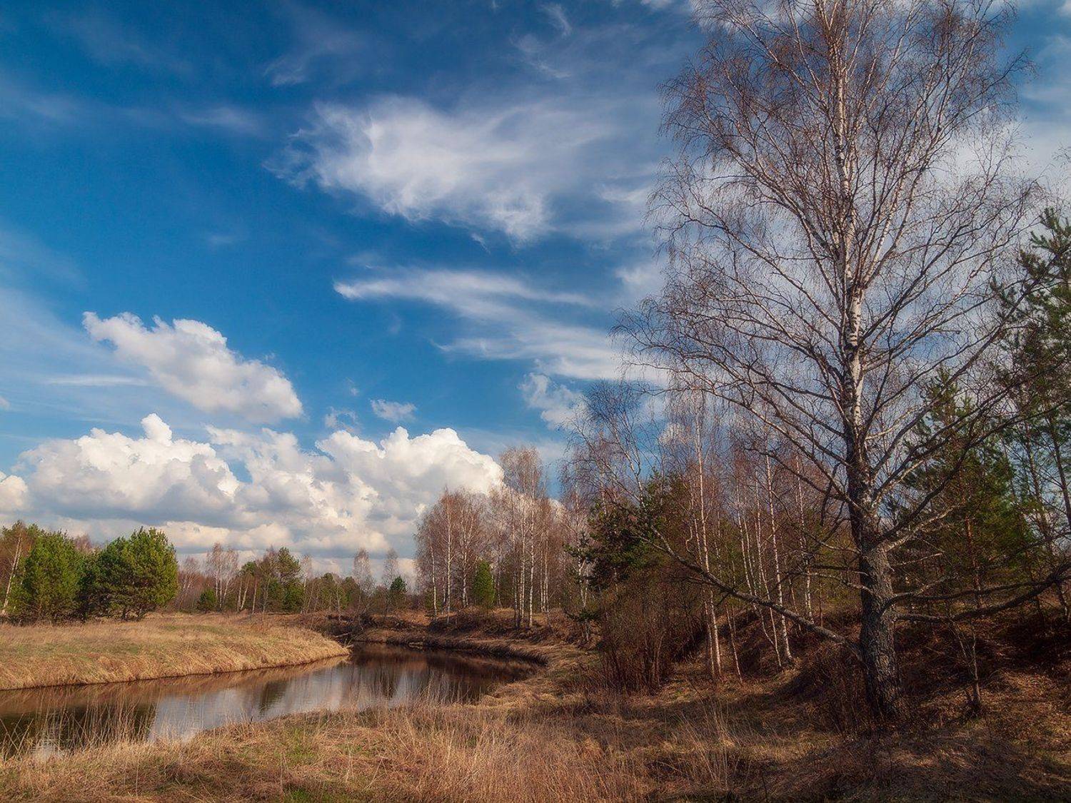 , Владимир Перепечаев