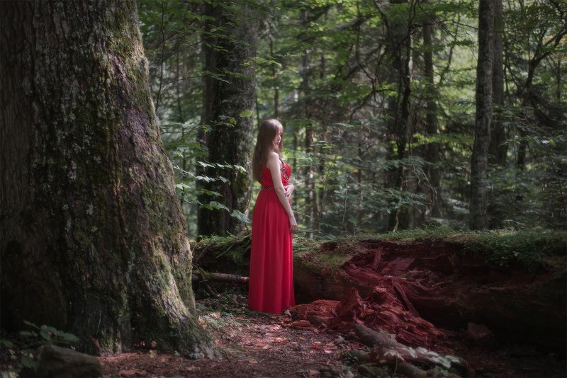 В лесах Домбаяphoto preview