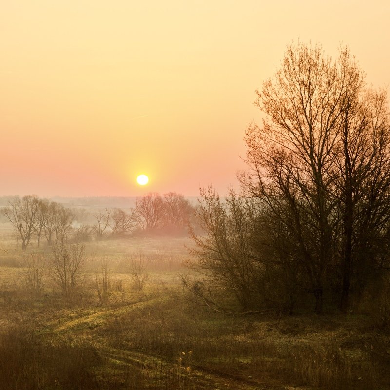 Весенняяphoto preview