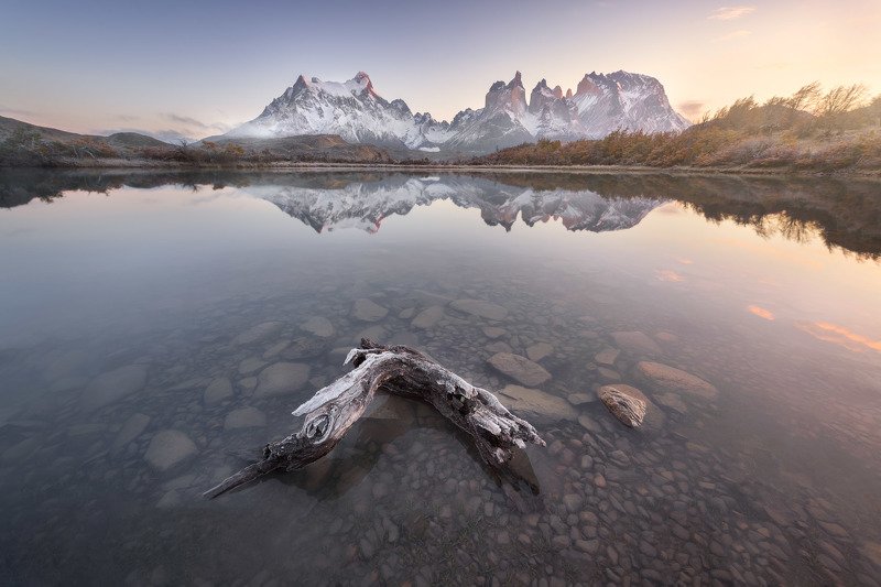 america, andes, beautiful, blue, chile, clouds, cuernos, dead, del, dry, frost, glacier, hiking, hill, ice, lake, landmark, landscape, light, log, mirror, morning, mountain, national, nature, outdoor, paine, park, patagonia, peak, pehoe, range, reflection A Dream in a Mist of Grayphoto preview