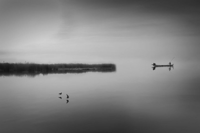 The fish manphoto preview