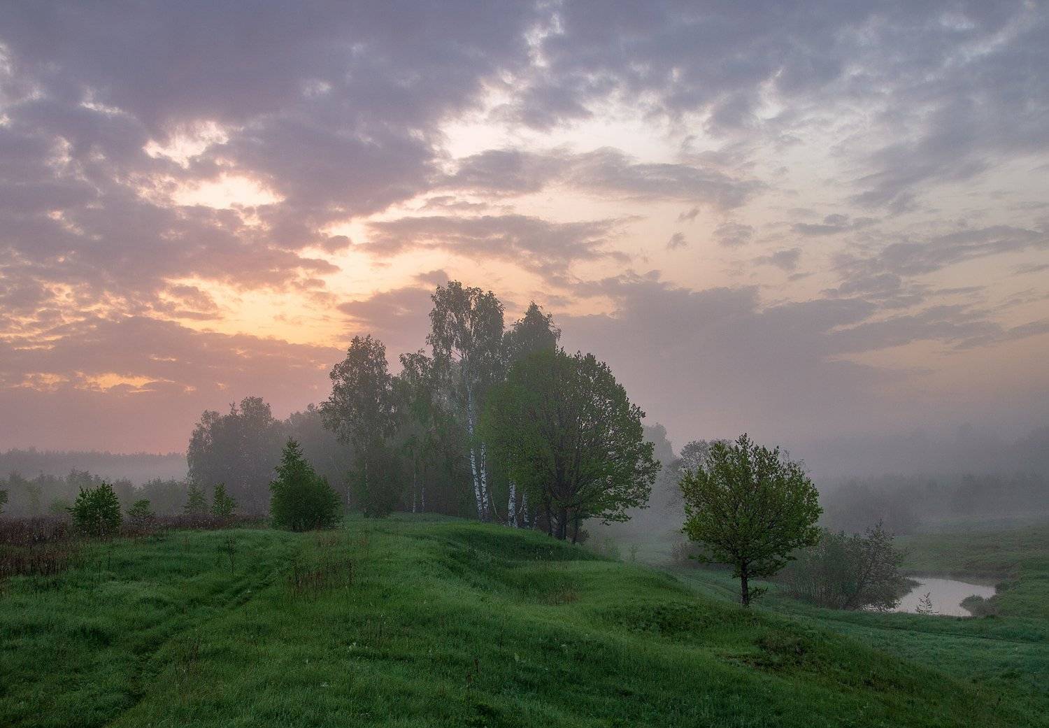 , Марина Брыдня