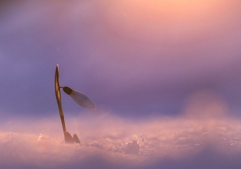 Холодно,в мире без тебя так холодно фото превью