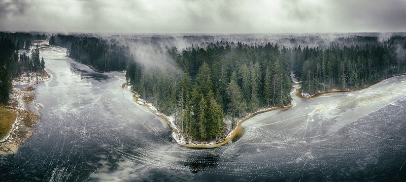 forest, spring, winter, ice SPRINGphoto preview