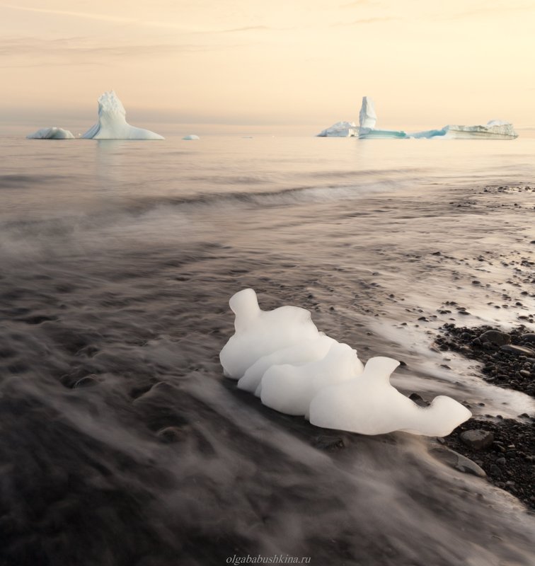 арктика, гренландия, arctic, greenland, sunset, закат, фотопутешествие, фототур, айсберг, iceberg Оставленная океаномphoto preview