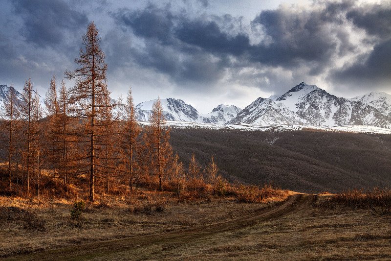 алтай, ледник актру, актру, алтайский край, долина, весна,осень, лиственницы, ледник,ледники Золото закатаphoto preview