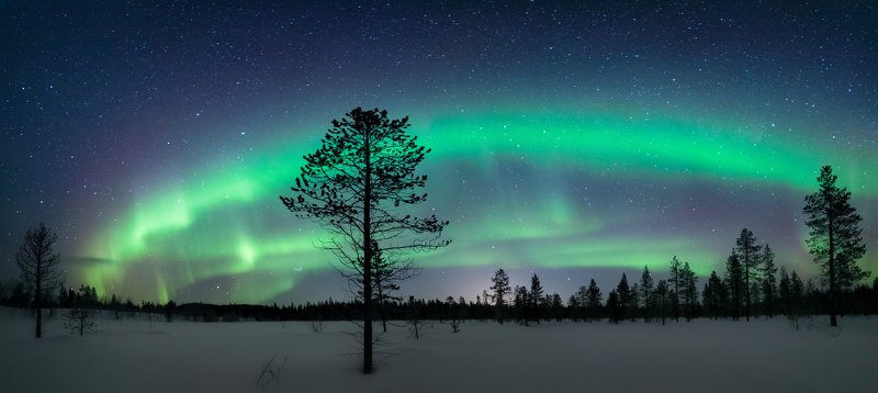 северное сияние,север,териберка,мурманск,ночь,звезды,лес,снег,зима,аврора,фототур,россия Сияние севераphoto preview