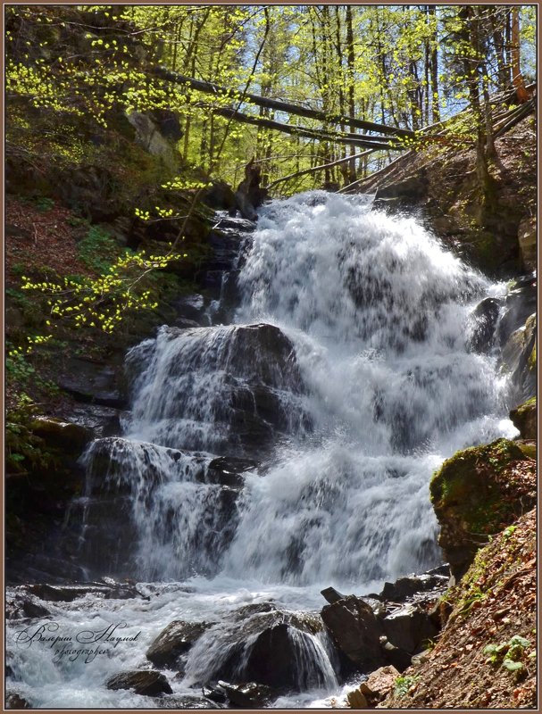 карпаты, боржава, весна, водопад шипот, листочки Водопад Шипотphoto preview