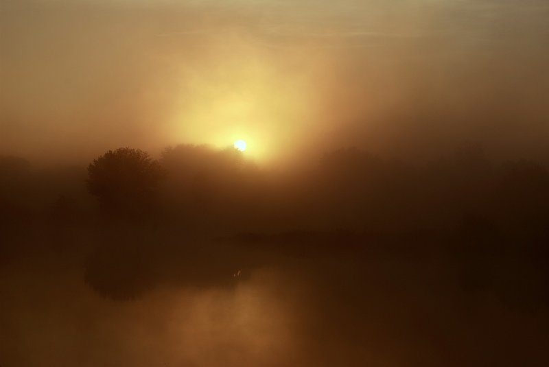 Туманный рассветphoto preview