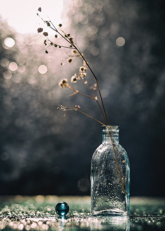 После дождя.photo preview