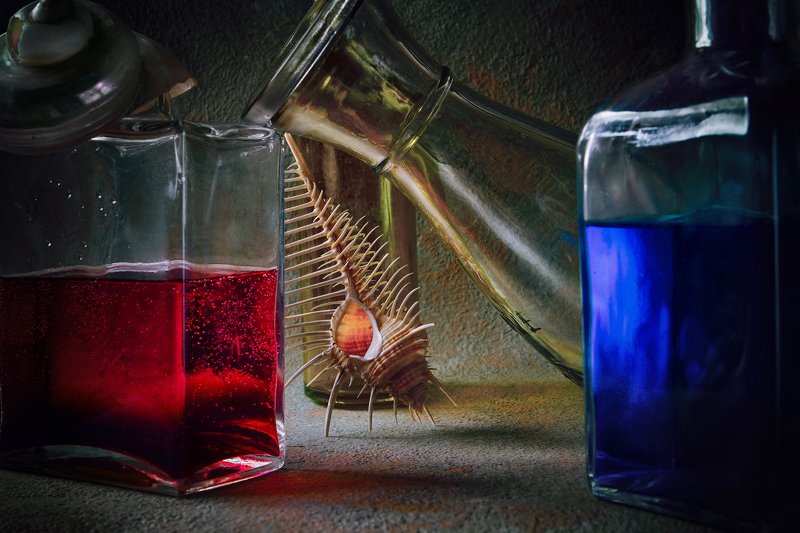 бутылки, стекло, ракушка, морская раковина, вода С гребнем Венерыphoto preview