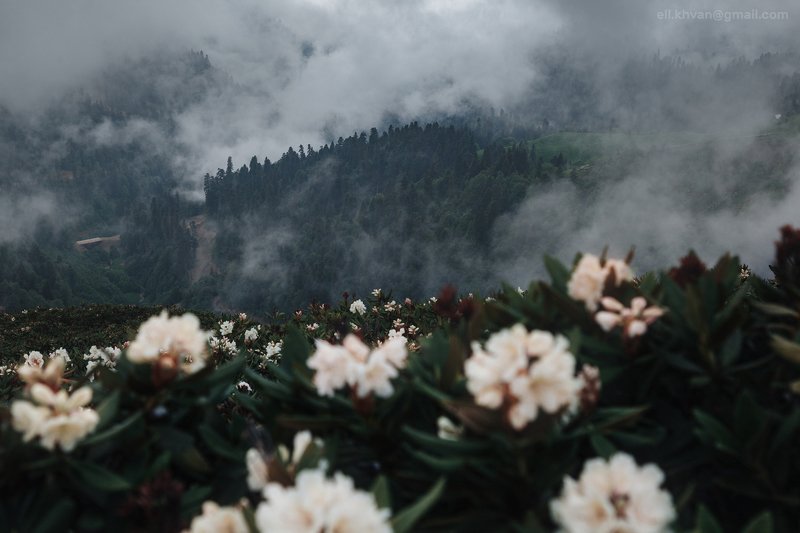 Весна в горахphoto preview