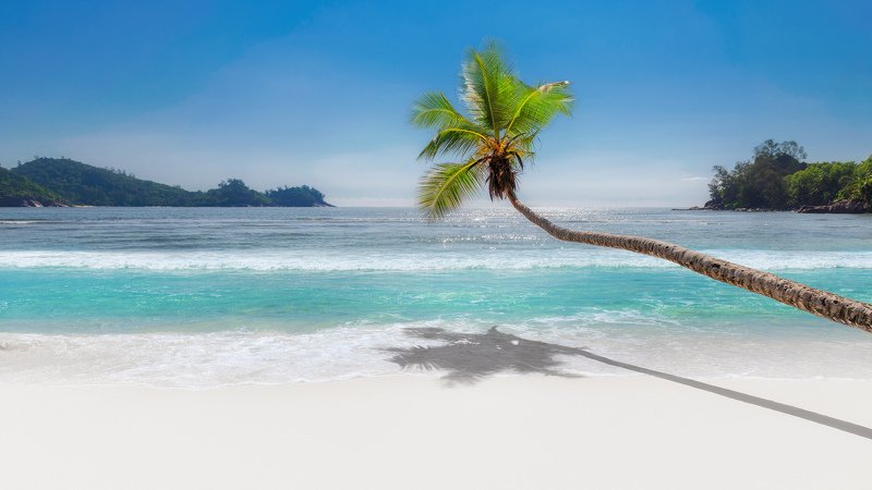 beach, palm, caribbean, paradise, island, sand, пляж, пальма Paradise beachphoto preview