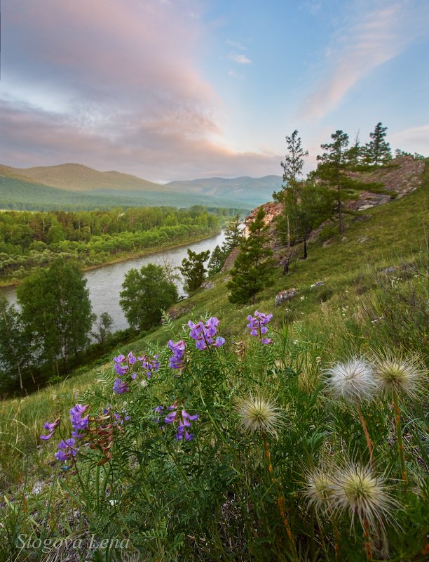 белый июс, хакасия Река Белый Июс. Хакасияphoto preview