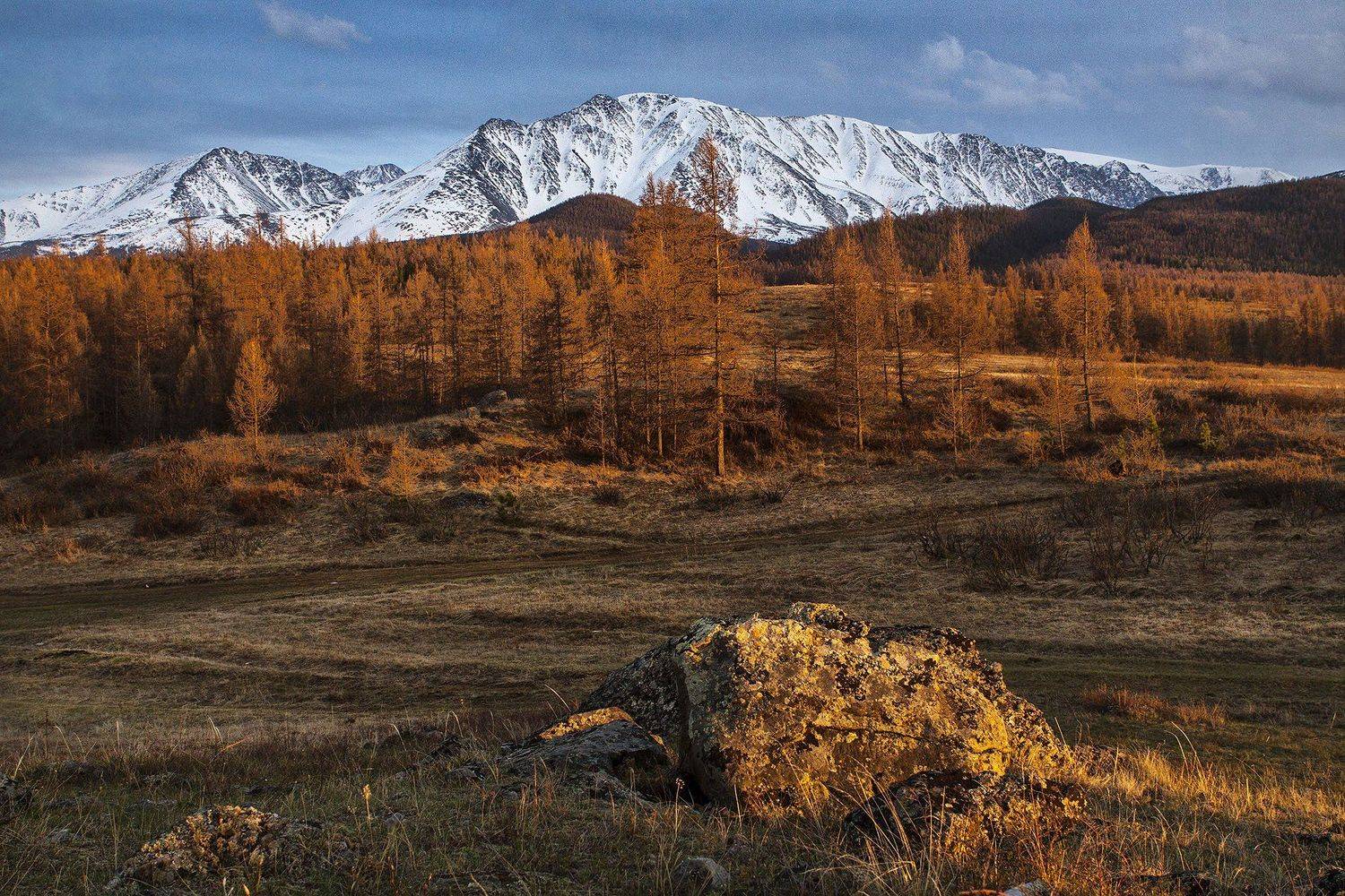 Камень.. Автор: Качурин Алексей алтай, ледник актру, актру, алтайский край, долина, весна,осень, лиственницы, ледник,ледники, Качурин Алексей