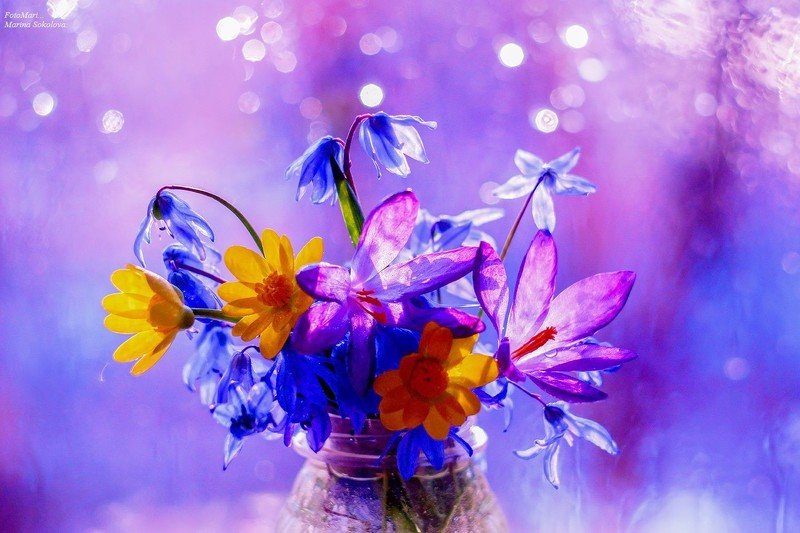 Весеннее утро...photo preview