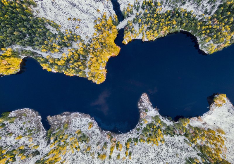 forest, spring, winter, ice Winter vs Springphoto preview