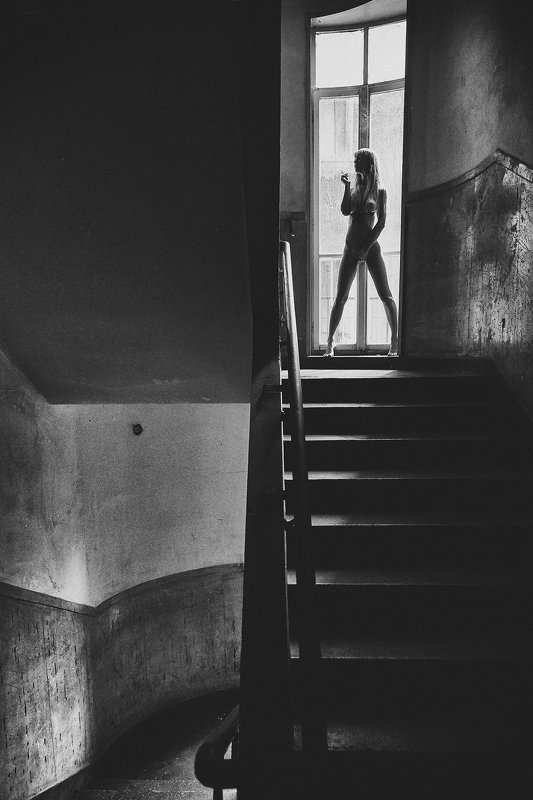 WINGS OF PURE SILENCEphoto preview