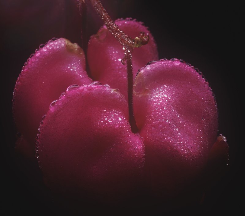 Разбитое сердце ***photo preview