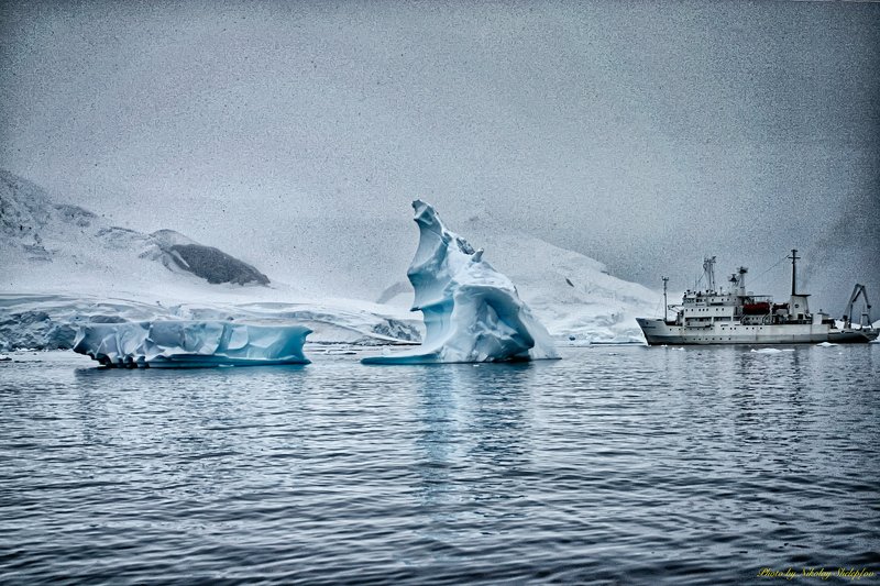 Антарктида 47 фото превью