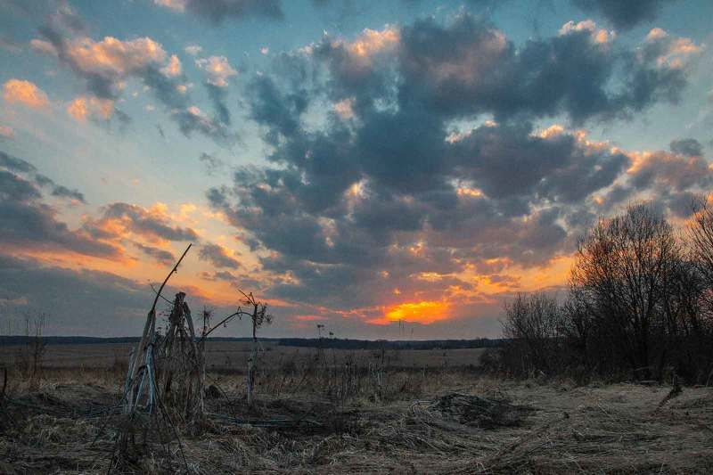 За пару часов до поджига травыphoto preview