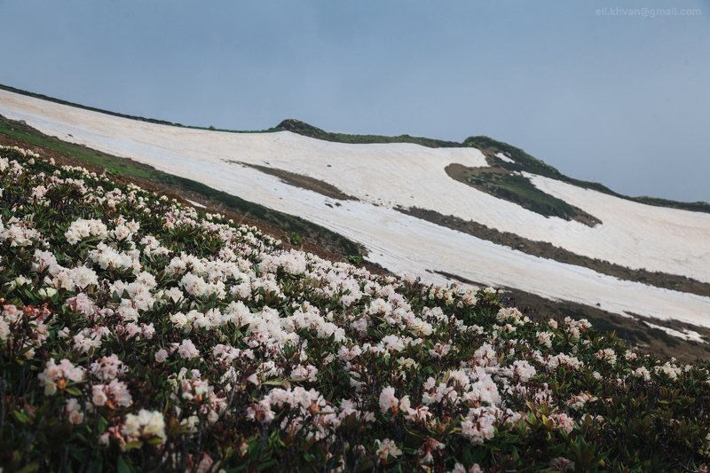 Весна в горахphoto preview