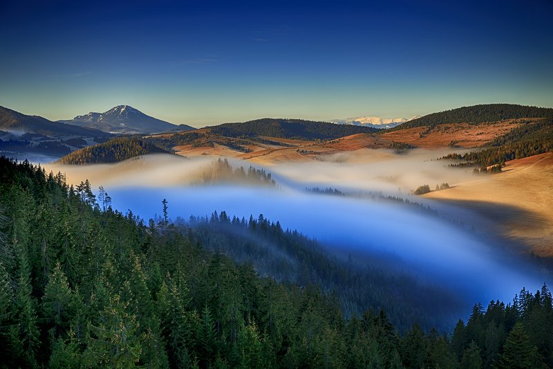 Fiat Lux Slovakiaphoto preview