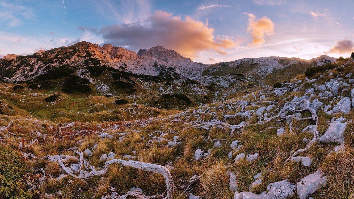 , Коровин Кирилл