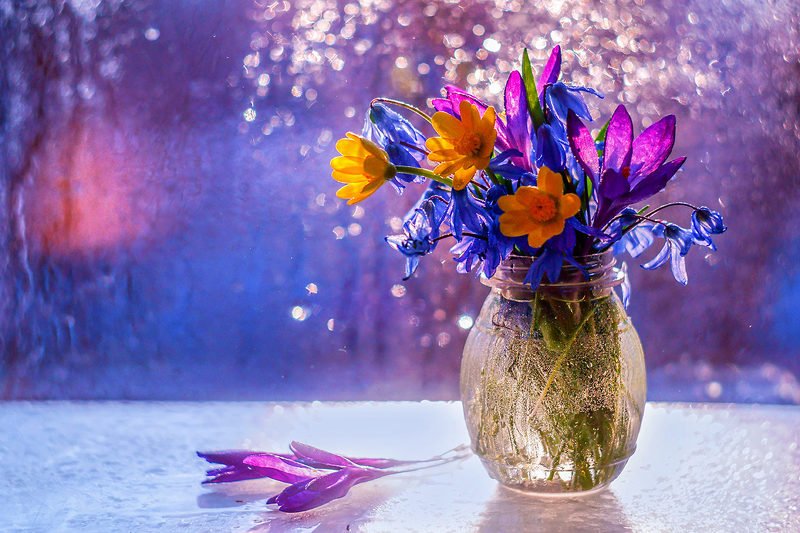 Весенний Привет...photo preview