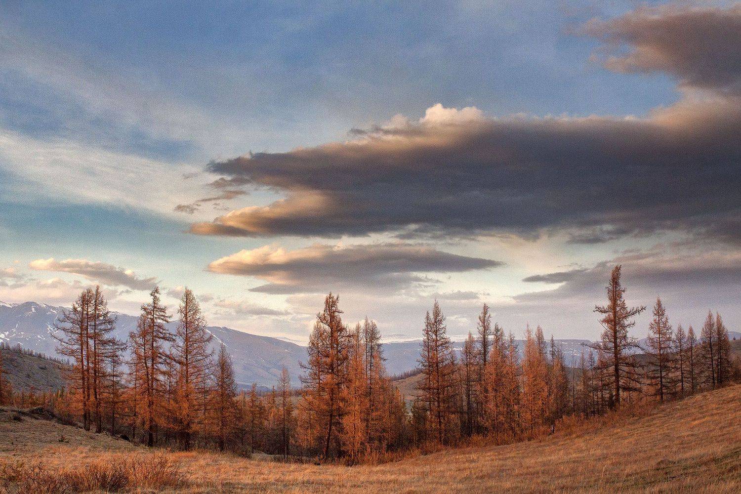 Лоно.. Автор: Качурин Алексей алтай, ледник актру, актру, алтайский край, долина, весна,осень, лиственницы, ледник,ледники, Качурин Алексей
