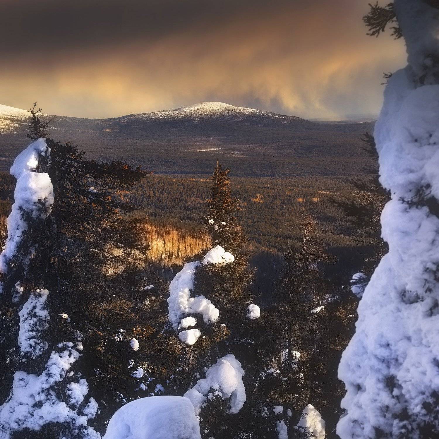 , Попрошаев Сергей