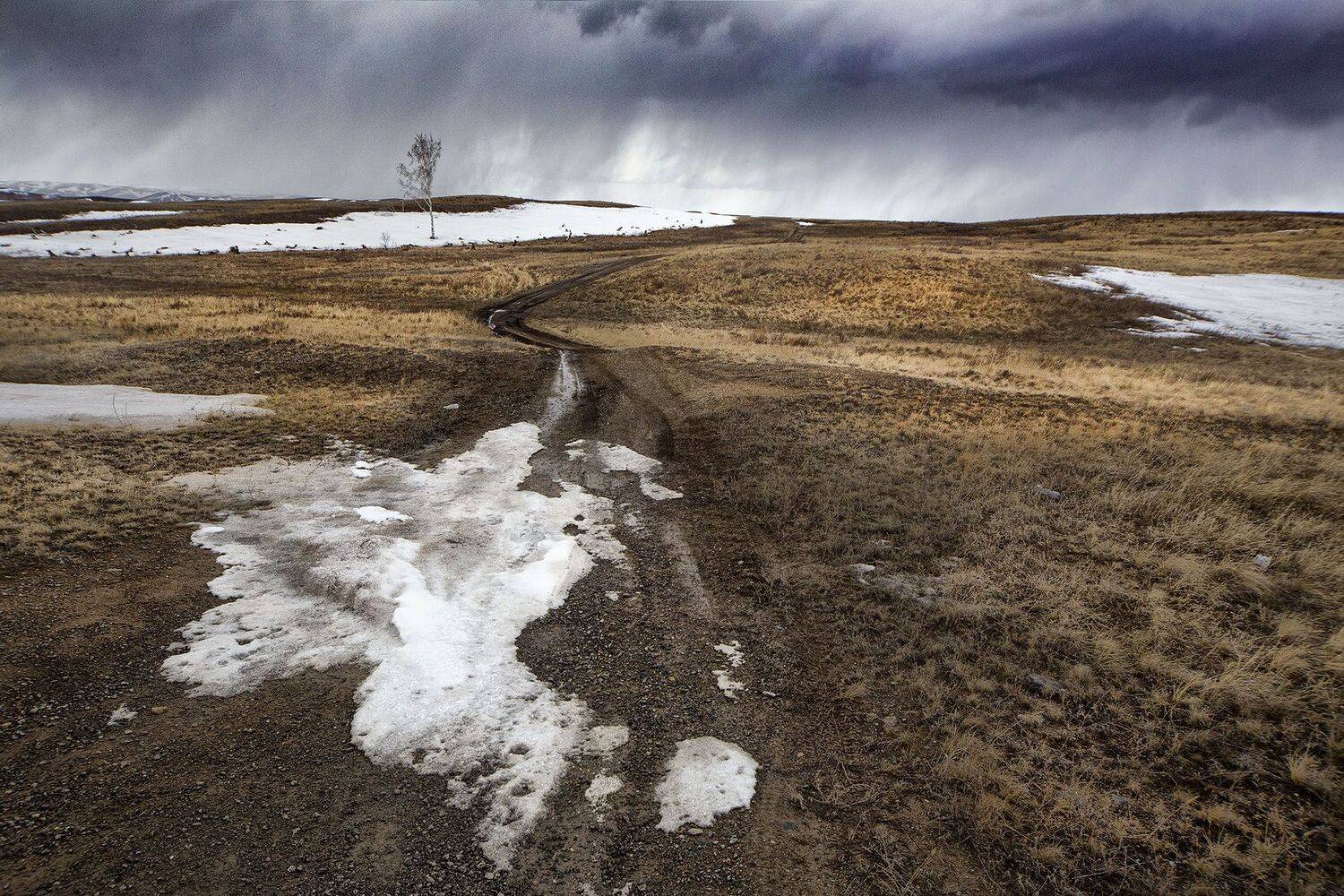 Весна. Автор: Качурин Алексей , Качурин Алексей