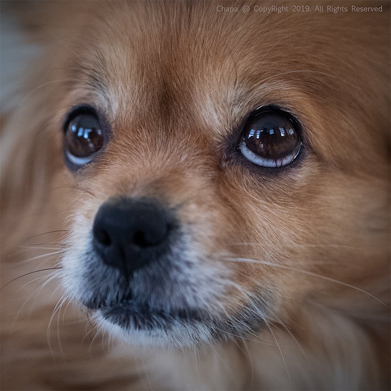 Приходи...photo preview