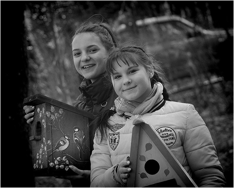 дети Домикиphoto preview