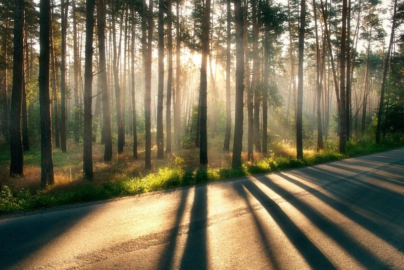 Ранним утромphoto preview