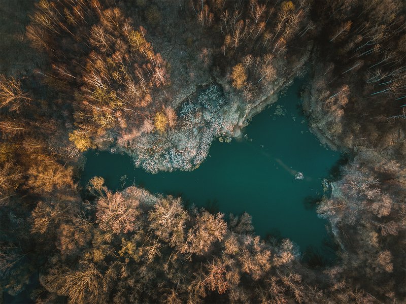 landscape,, dji mavic pro, trees, pond, lake photo preview