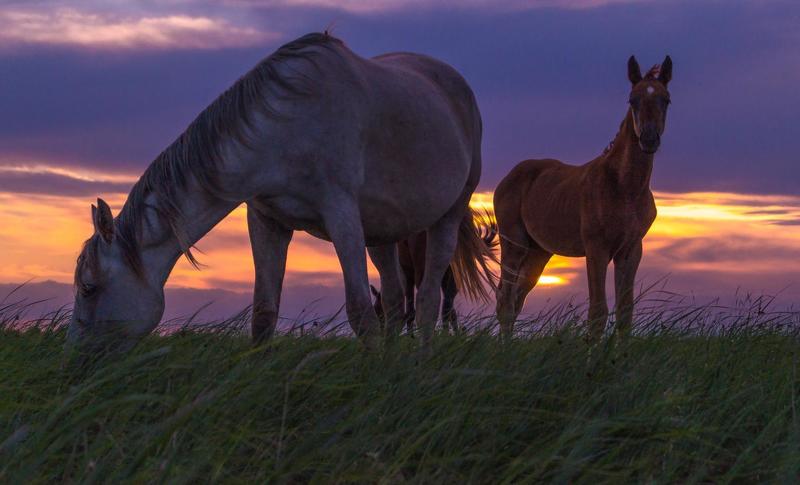 ВЕЧЕР НА ПРОТОКЕphoto preview