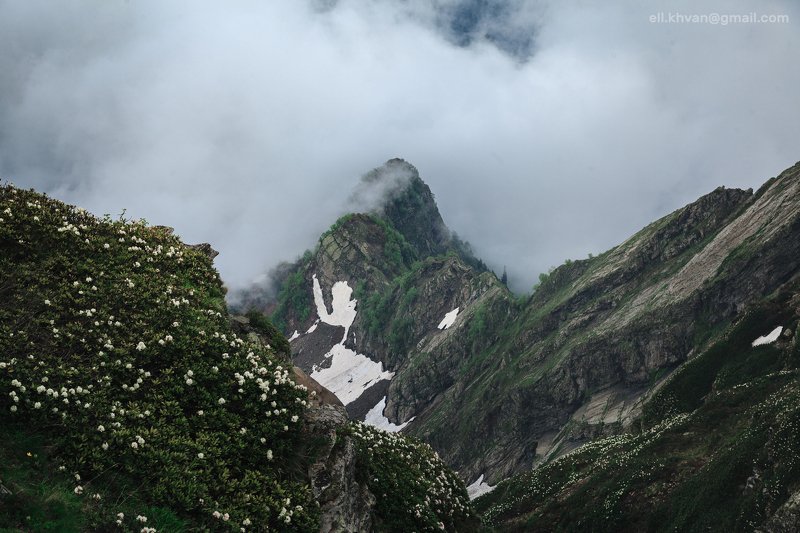 Весна в горахphoto preview